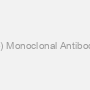 Actin Beta (ACTb) Monoclonal Antibody (Human), APC